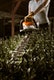 STIHL HS 46 C-E