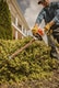 STIHL HSE 52