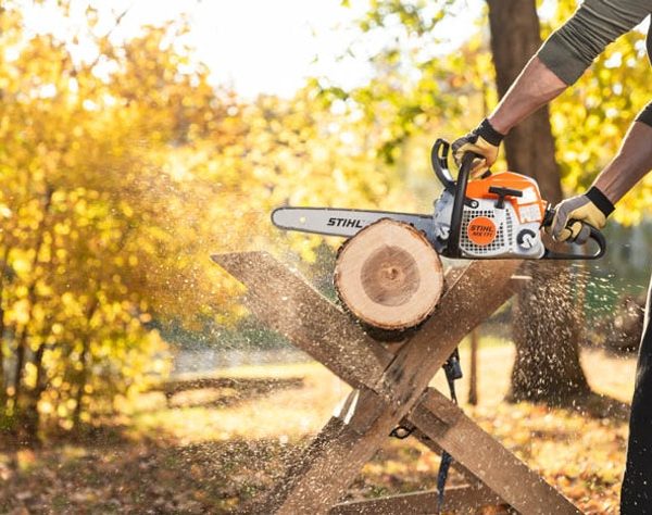 STIHL MS 171