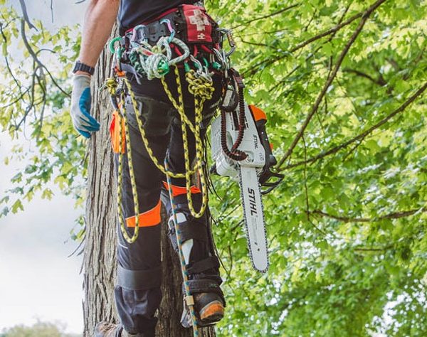 STIHL MS 201 T C-M