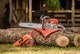 STIHL MS 362 C-M