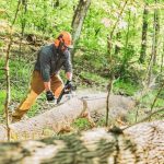 STIHL MS 391