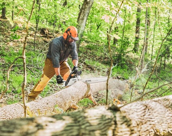 STIHL MS 391