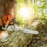 STIHL MS 291