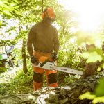 STIHL MS 291