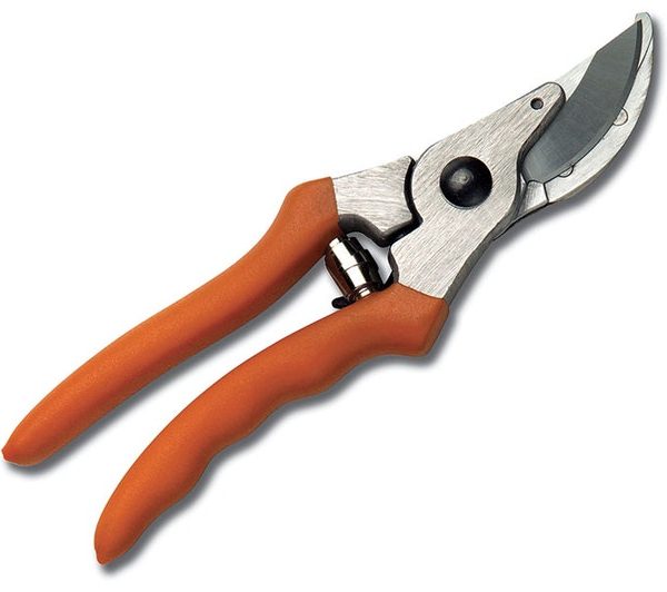 STIHL PP 10
