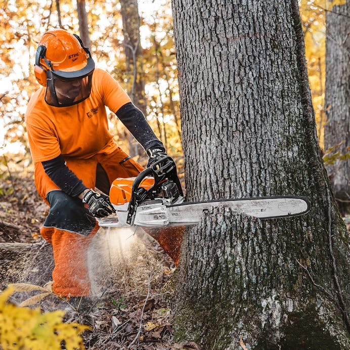 STIHL MS 462 R C-M - Joe Signs Equipment