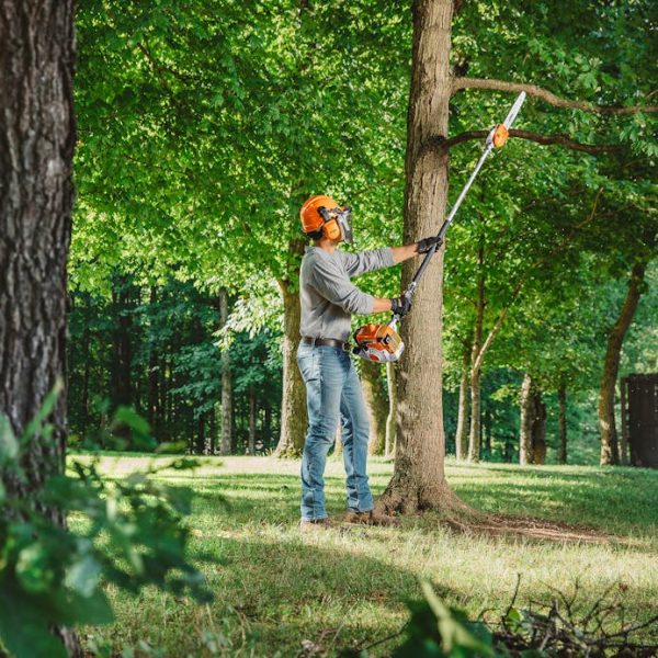 STIHL HT 250