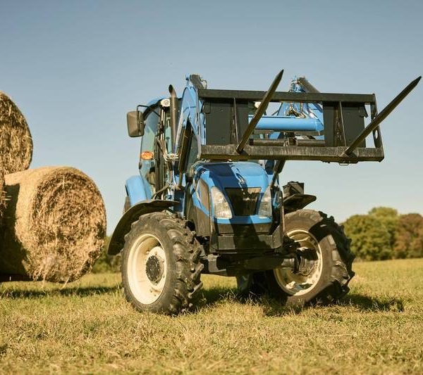 Tarter Dual Bale Spear