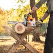 STIHL MS 171