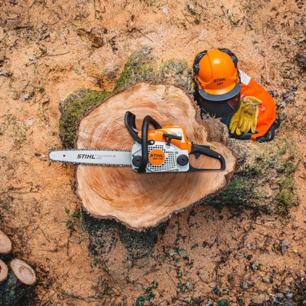 STIHL MS 170 Chainsaw