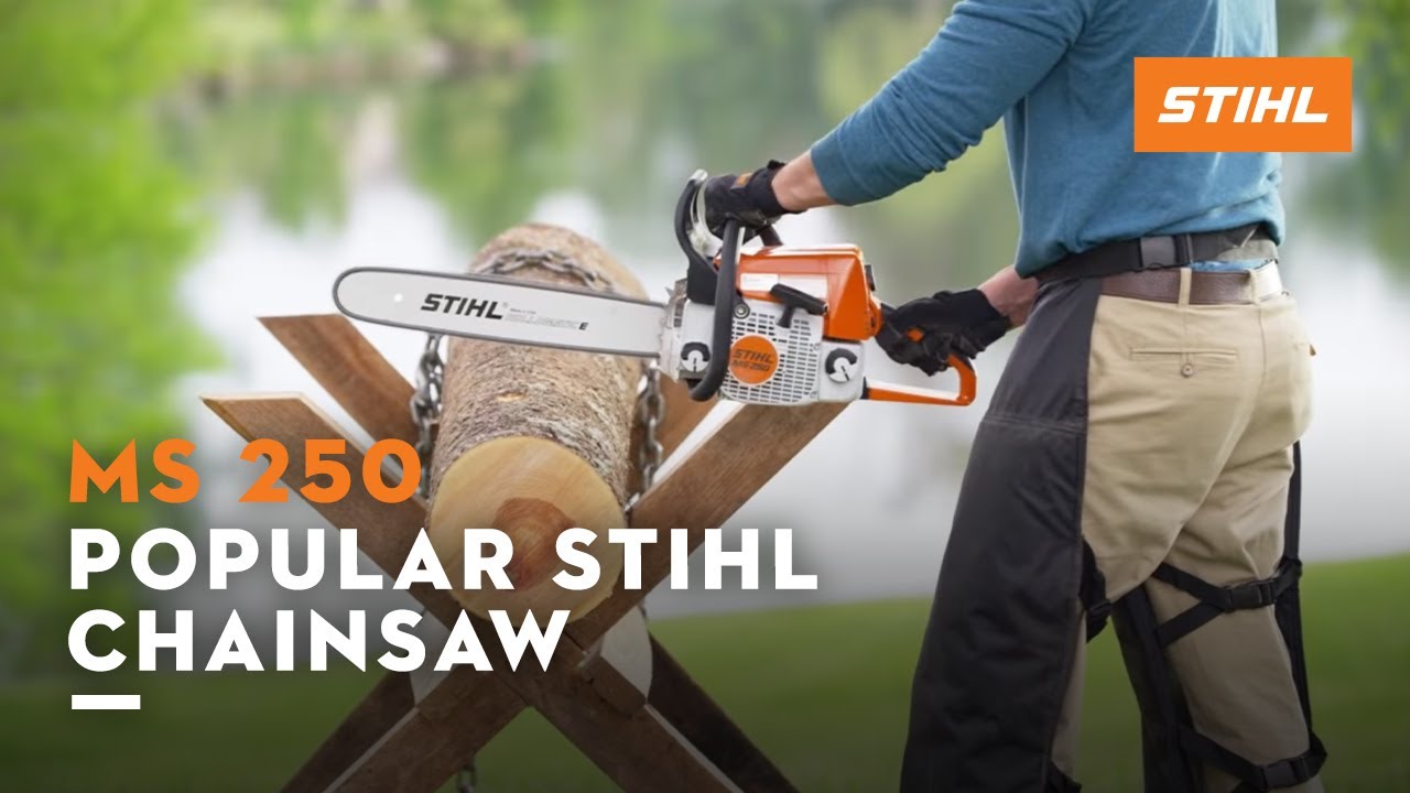 STIHL MS 250 Chainsaw